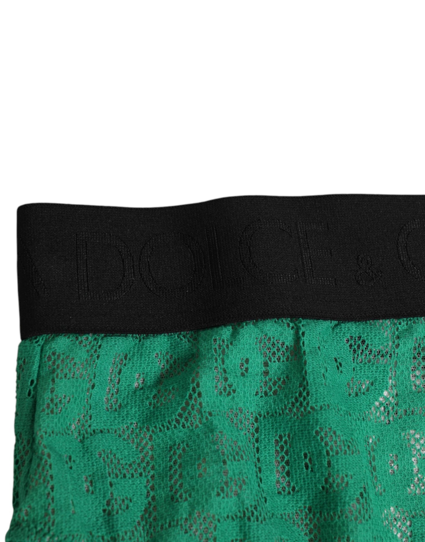 سروال داخلي عالي الخصر من الدانتيل بشعار DG باللون الأخضر من Dolce & Gabbana